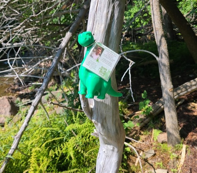 A Shtukasaurus toy dinosaur carrying missing Ryan Shtuka's story spotted in Bridal Veil Falls, Ontario. 