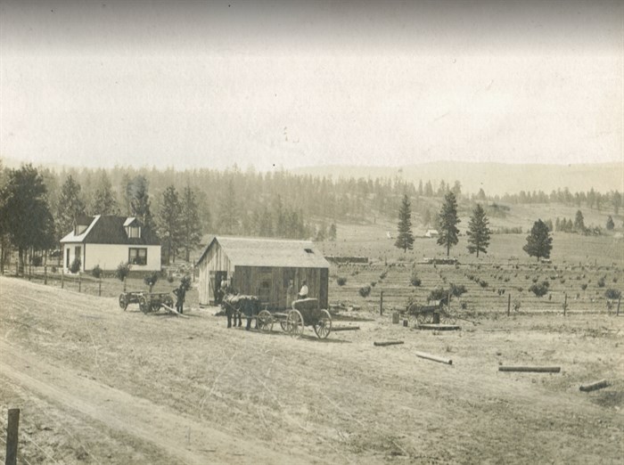 Hulburt's blacksmith shop on Main St. Kelowna in 1912. 