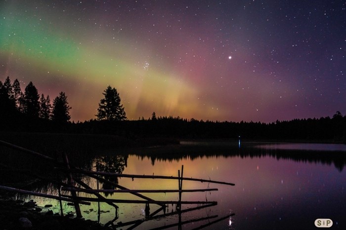 Northern lights reflected on lake surface, Kamloops. 