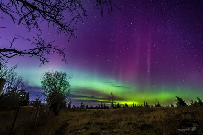 Many shades of colour can be seen in this photo of the aurora borealis dancing over the grasslands of Kamloops. 