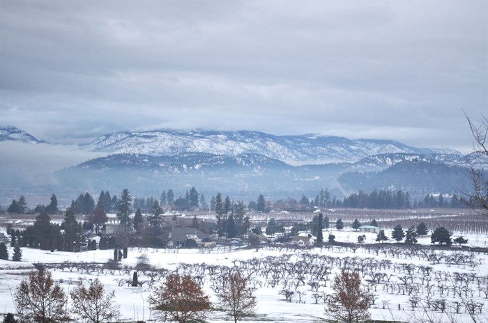 View from the McCulloch lookout