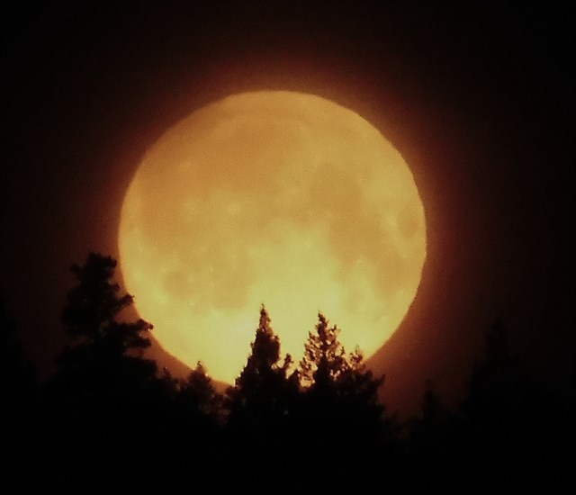 The full Pink Moon shines bright over Pinantan Lake near Kamloops. 