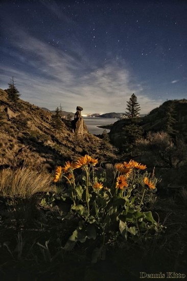 The landscape near Kamloops Lake was lit up at night by the full Pink Moon. 