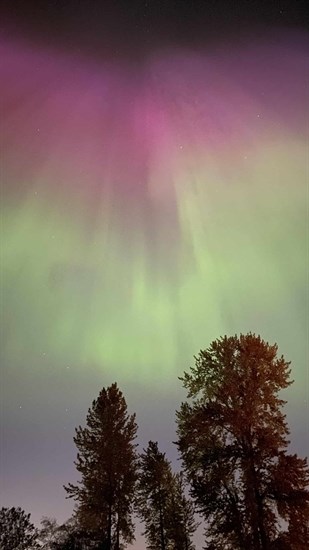 A submitted photo of the northern lights.

