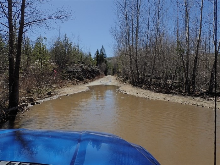 This photos shows a bumpier section of the Chute Lake Myra Canyon rail trail. 