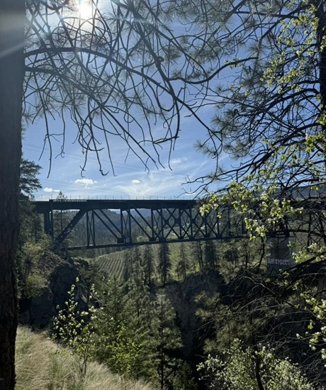 The Trout Creek Trestle bridge in Summerland is located on the Kettle Valley Rail Trail. 