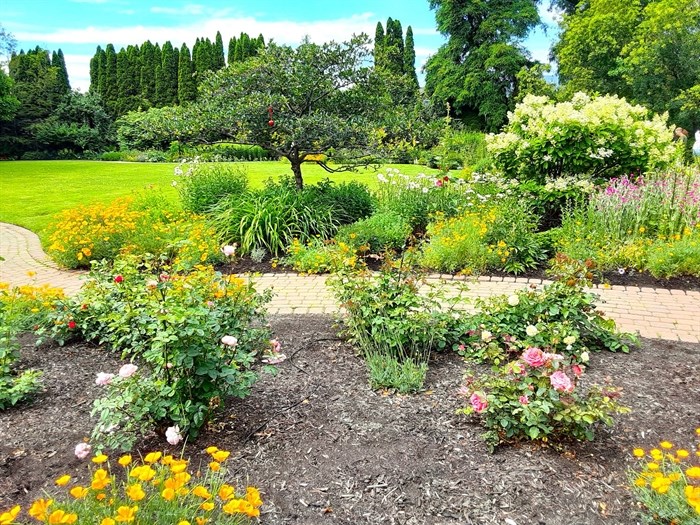 Guisachan Park in Kelowna has beautiful gardens to stroll through. 