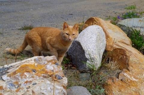 Clancy during one of his trips with Bill Burles into the Yukon wilderness.