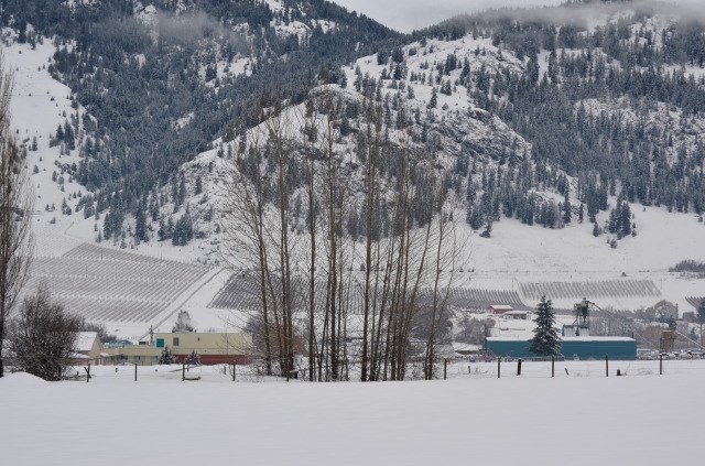 Lavington Elementary School (left) and the existing Tolko sawmill (right). The pellet plant will be built beside the sawmill. 