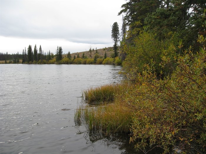 Lodgepole Lake.