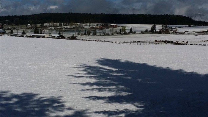 As of 10 a.m. April 24, the snow still hadn't melted, much to the disappointment of local residents. 