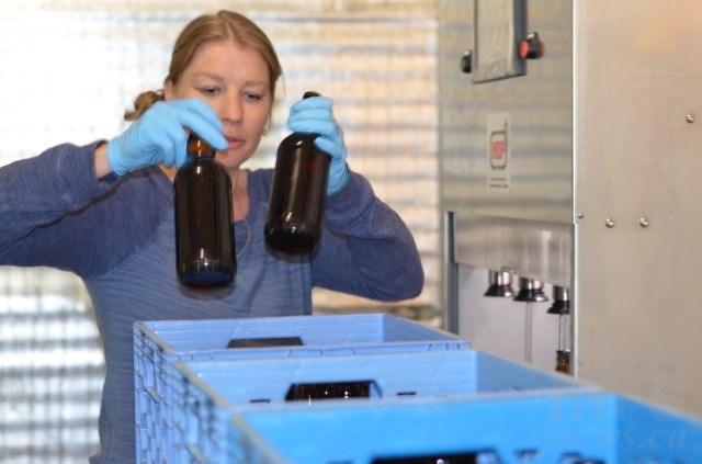 Erica August bottles a batch of cider at the BX Press in Vernon. 