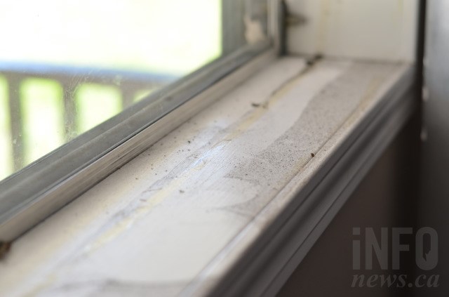 A day's buildup of soot covers Beverly Anderson's windowsill. 