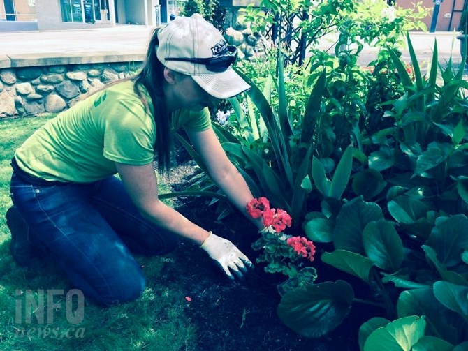 City Parks employee in action.