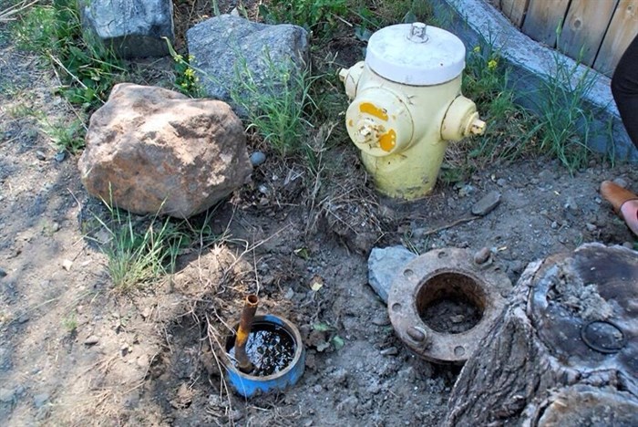 One of the two fire hydrants in the park