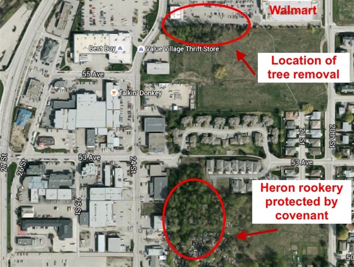 Map illustrating the location of the removed trees and the nearby heron rookery. 