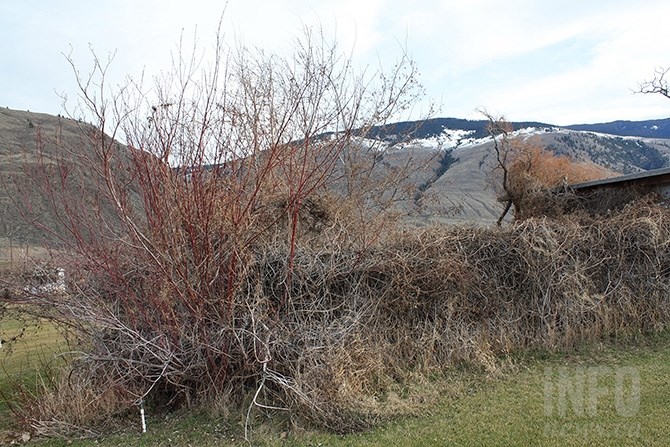 A nearby property owned by Ken and Corinne Helm has a known native burial site that is maintained and protected.