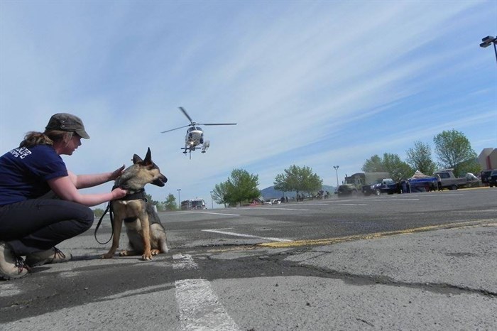 Liebe-Hofstee and Gertie the SAR dog getting used to working near helicopters