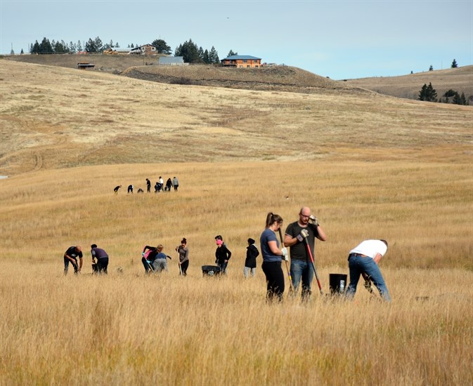 Volunteers working on three different burrows for owls Oct. 15, 2016.