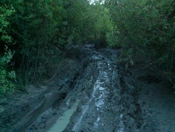 The effects of mud bogging in the North Okanagan backcountry. 