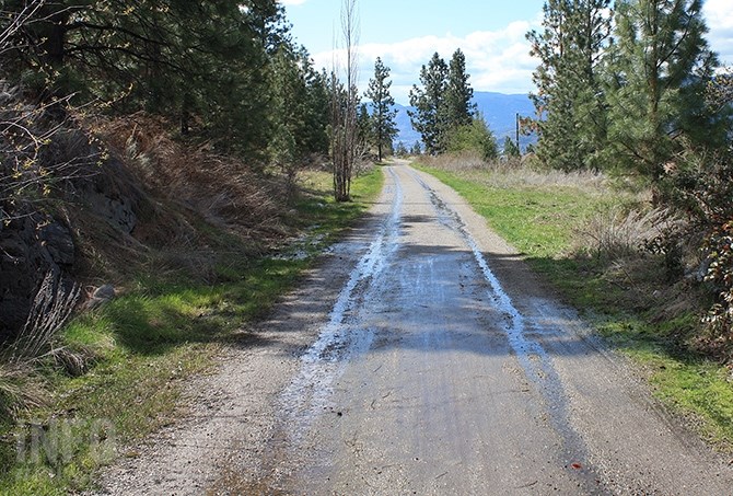 Water flows freely down a section of the Kettle Valley Rail Trail above and upstream of Armour's property, something he's never seen before.