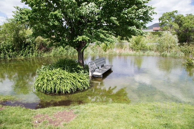 A bench is surrounded by water at McArthur Island Park. 