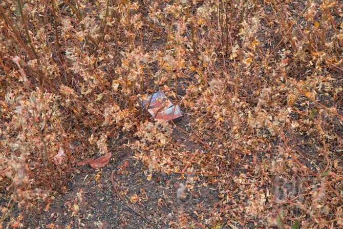 Fire retardant coats much of the landscape in Cache Creek from the Ashcroft Reserve Fire. 