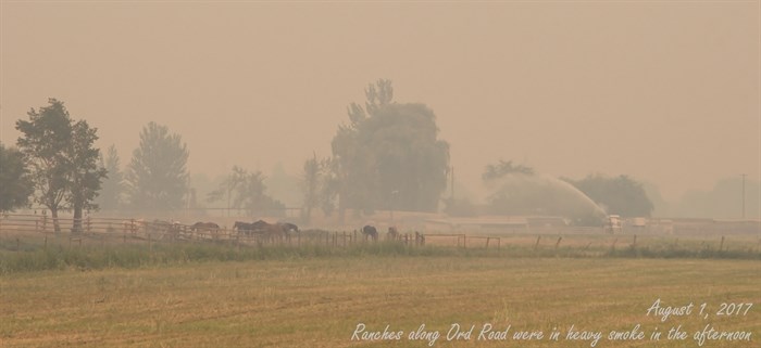 Ord Road Ranches on August 1