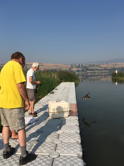 Laurie Reeve's with a B.C. Wildlife Park volunteer.