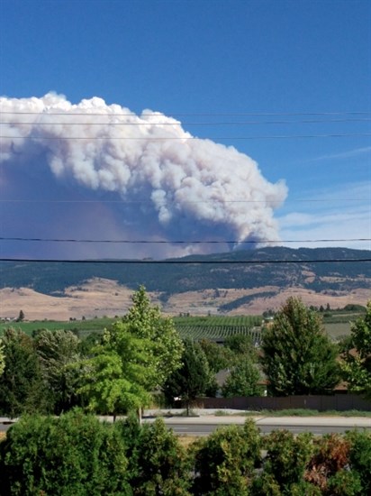 Philpott Road wildfire