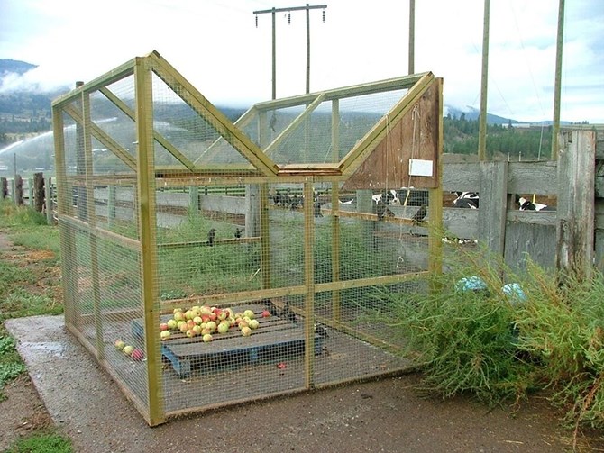 A typical starling trap is pictured in this submitted photo.