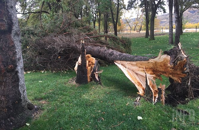 The wind snapped tree trunks in McArthur Island Park, Tuesday, Oct. 17, 2017.