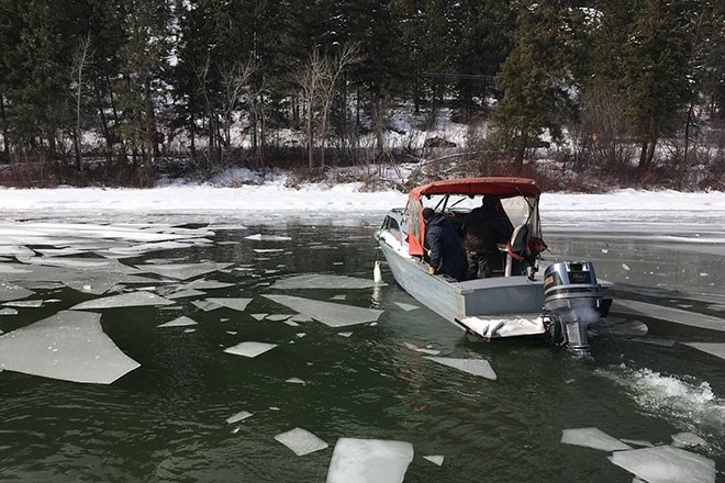 The pile drivers make their way to shore with the deer in the back of the boat.