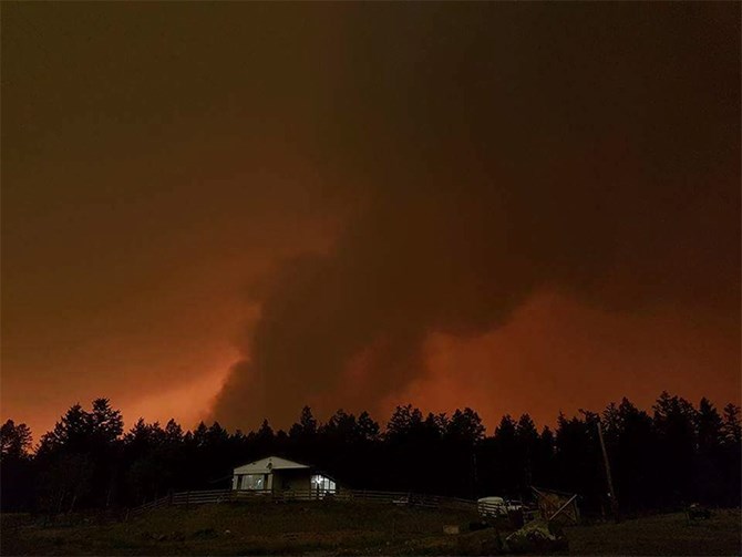 After staying on their property to fight off the Riske Creek wildfire near Williams Lake last year, Tegan Heard is using her experience to be wildfire prepared when she moves to the Oliver area in late May this year. 