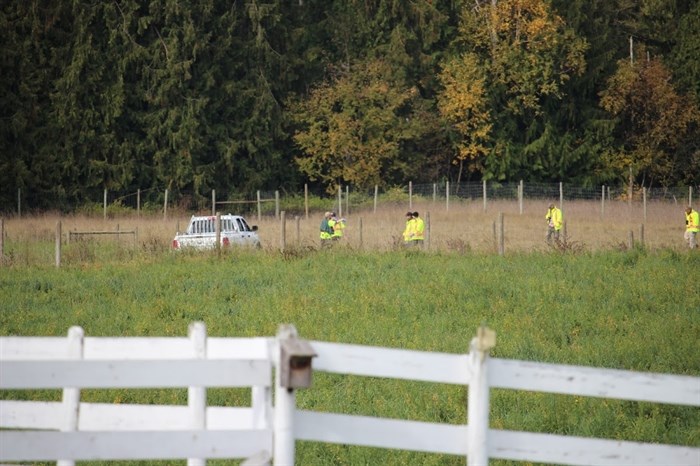 Conservation officers and other government workers at Yntema's farm in Enderby on Oct. 6, 2016. 