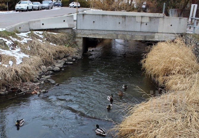 Mill Creek near Okanagan Lake in Kelowna has been dredged and trees have been cut down to minimize the risk of future flooding.