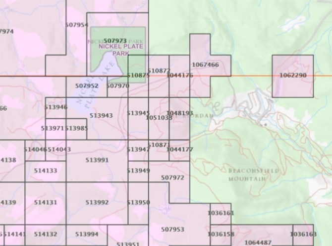 Map showing heavily staked areas around Apex Mountain.
