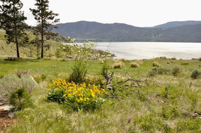 The property has a good sized building site overlooking the bay.