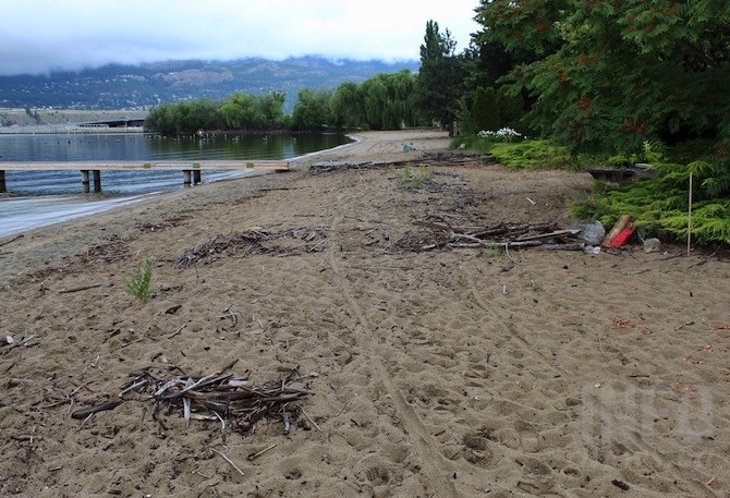 Two years ago rows of large rocks blocked public access in front of these McDougal Street homes. A Walk the Beach participant tripped and lawsuits were filed. This is the only stretch of that beach where there is any debris.