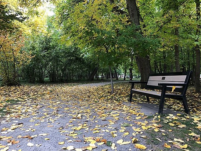 The leaves are just beginning to turn at Gellatly Nut Farm in West Kelowna.