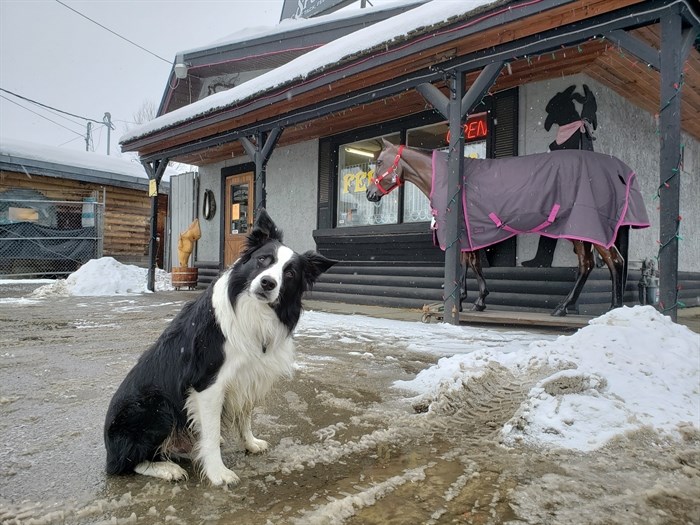 Outside Rusty Spur Tack, Seed & Pet