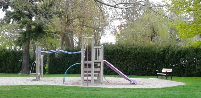 This is what the playground area looked like before the hedge was removed.