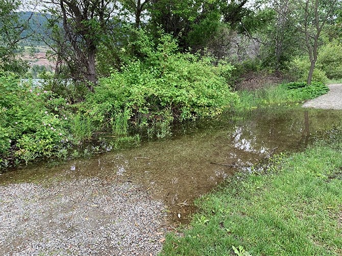 High water at Kaloya Regional Park on Kalamalka Lake this week.