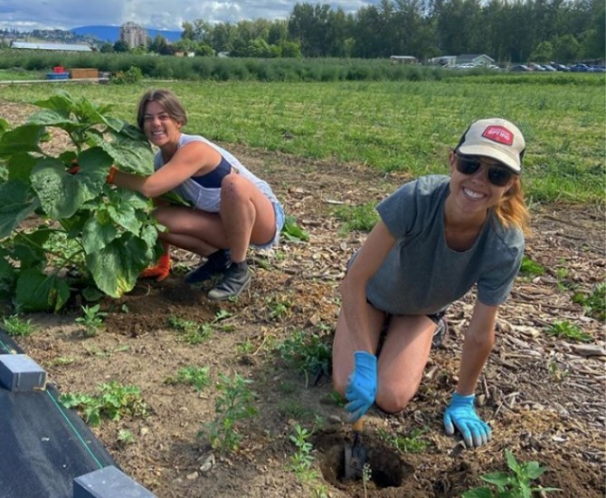 Volunteers working the field at the Kelowna Junior Chamber International Farm Project in Kelowna. 