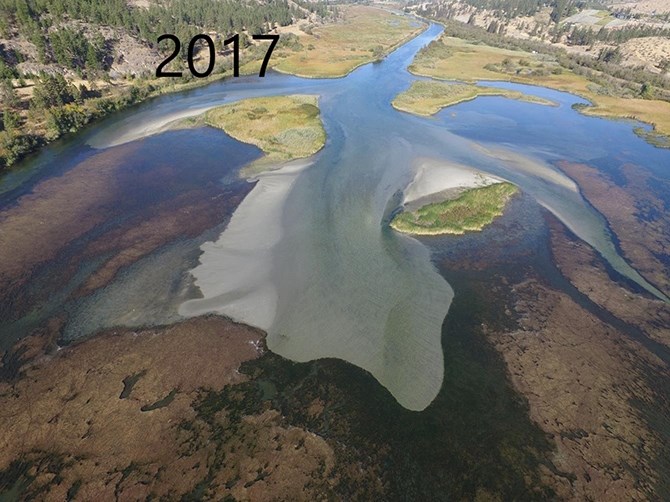 The north end of Vaseux Lake in 2017.