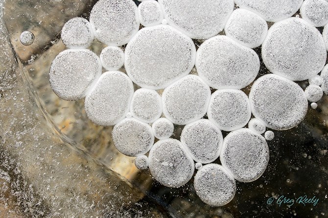 Ice discs on Osoyoos Lake.