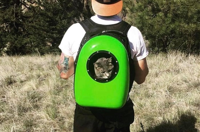 Kamloops resident Kendra Garrett's friend carrying cat Phoebe in a hard shell carrier on the Pederson Creek trails.