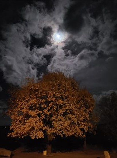 The Hunter's Moon in Kamloops.