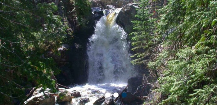 Bellevue Creek in Kelowna.