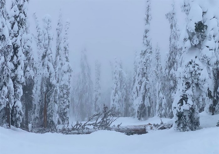 Piece of Cake run at Big White with a new obstacle.